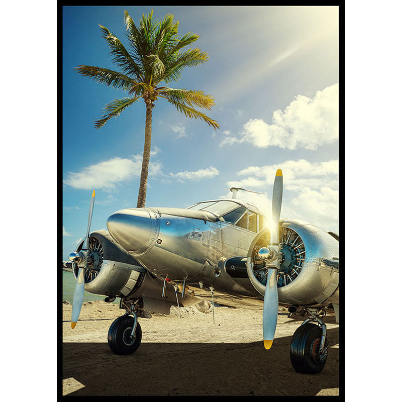 Aeroplane Poster Number 1
