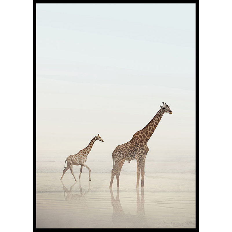 Beach Giraffes Poster