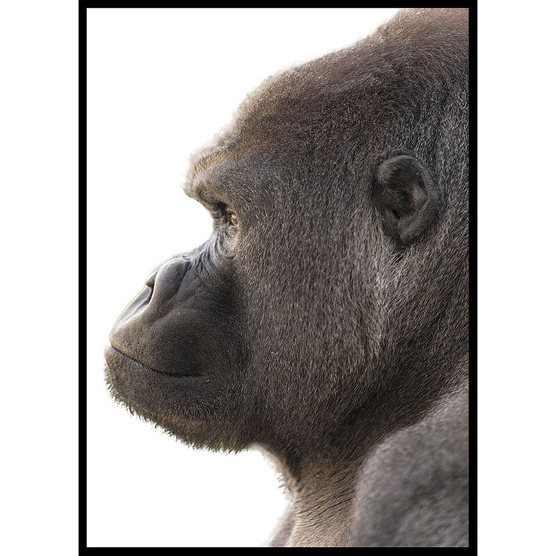 Gorilla Side Profile Poster