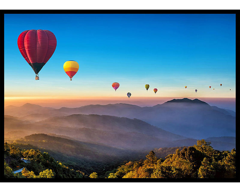 Hot Air Balloons Poster