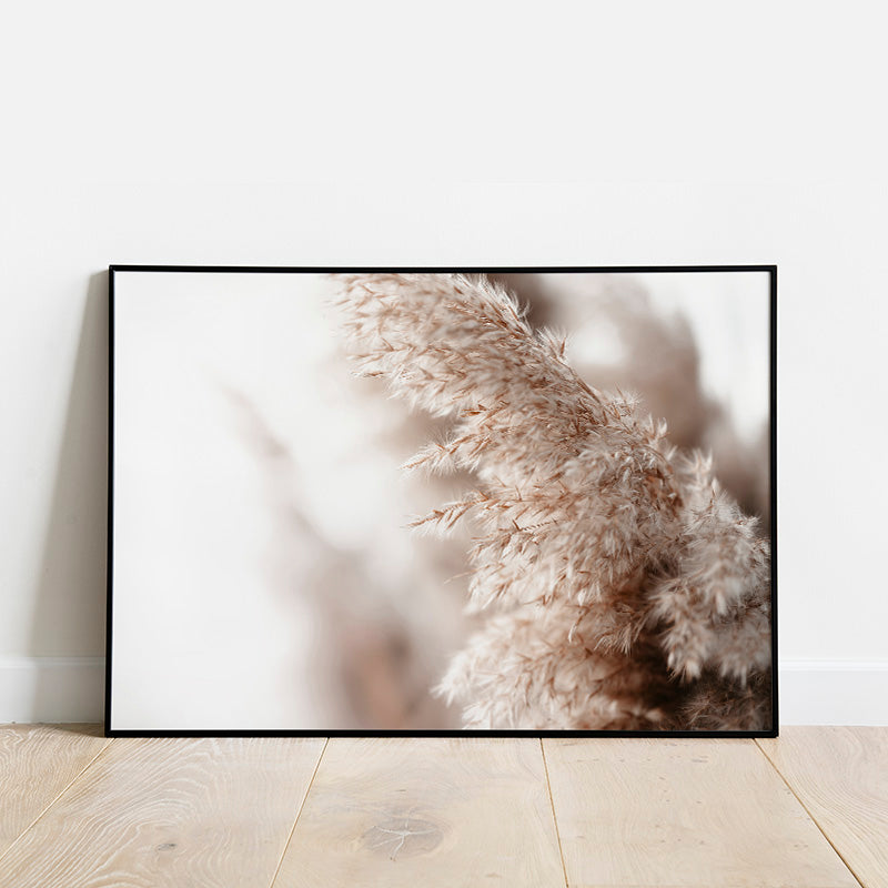Pampas Grass Poster
