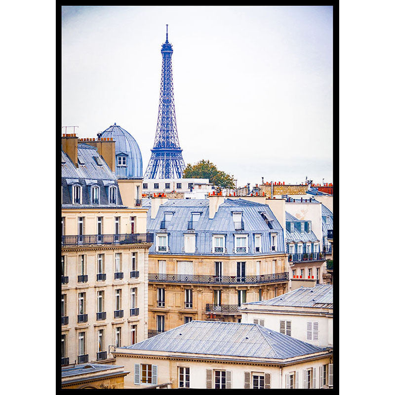 Paris Rooftops Poster
