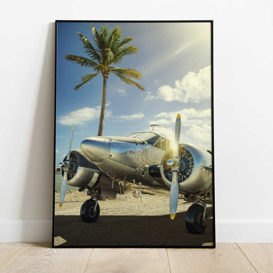 Aeroplane Poster Number 1