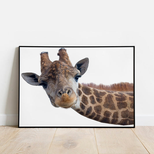 Cute Giraffe Poster