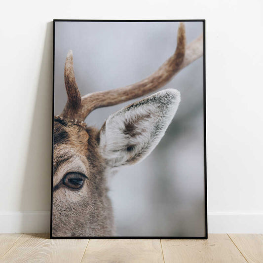Deer Portrait Poster
