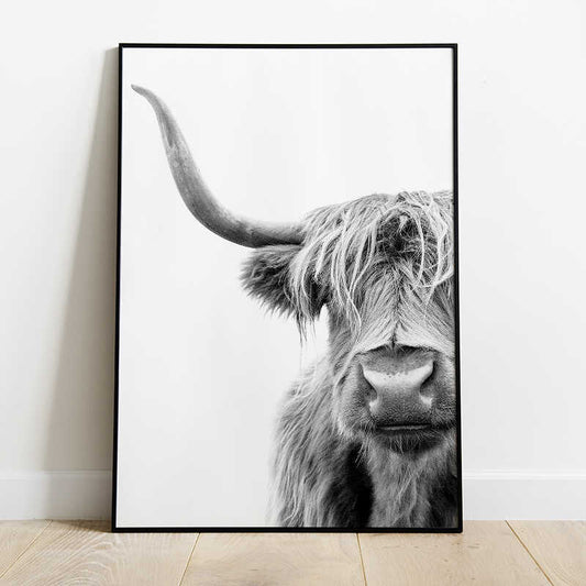 Highland Cow Poster Number 1