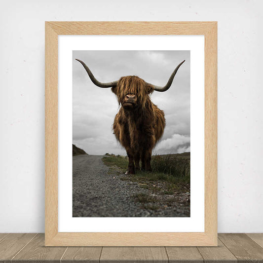 Highland Cow Poster Number 3
