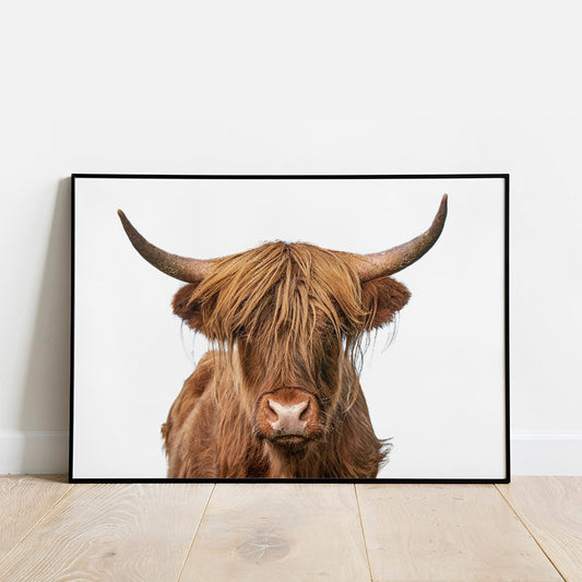 Highland Cow Poster Number 4